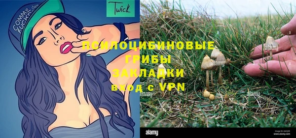спиды Верея