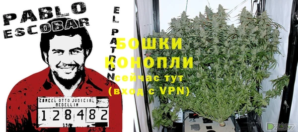 стаф Володарск