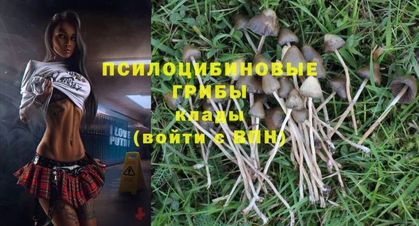 спиды Верея