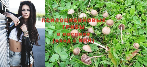 спиды Верея